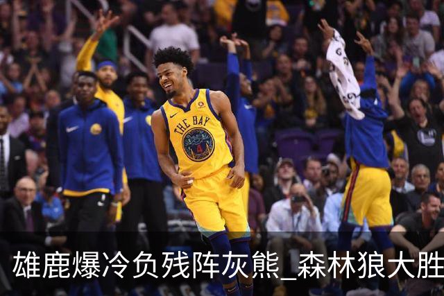 雄鹿爆冷负残阵灰熊 森林狼大胜开拓者4连胜